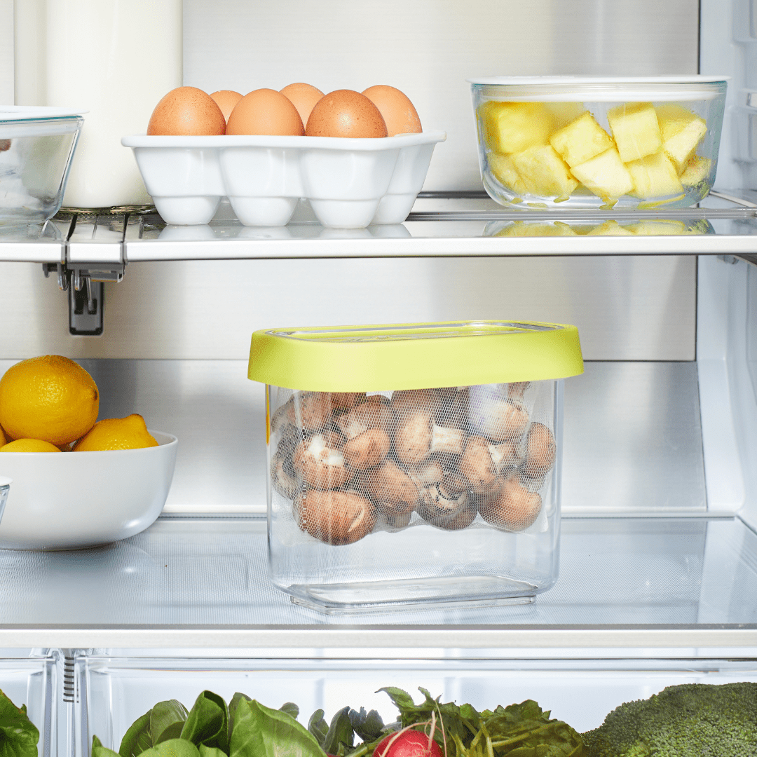 Chefn Fresh 'n Store Small Produce Storage Container
