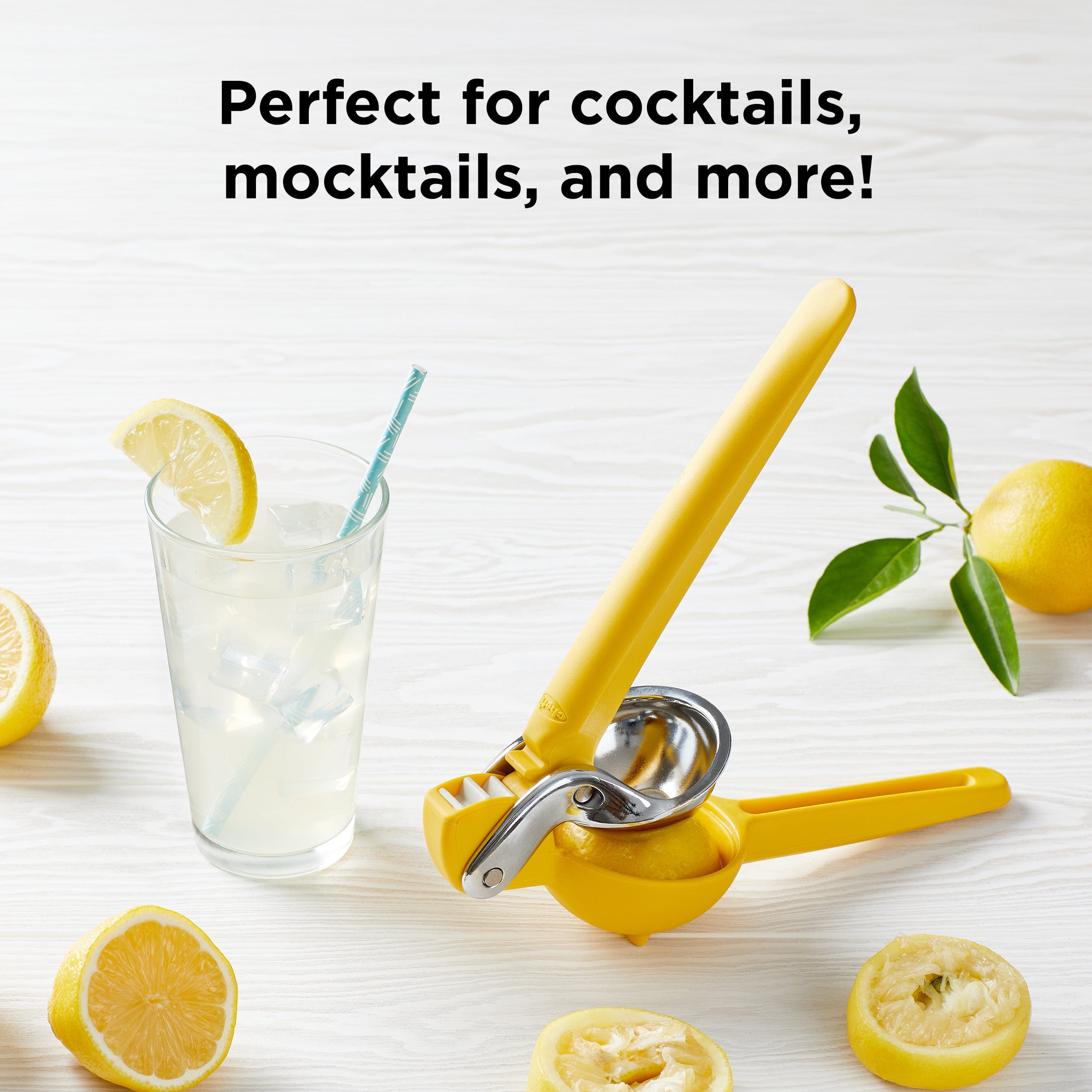 Chefn Fruit & Vegetable Prep FreshForce Citrus Juicer FreshForce Citrus Juicer