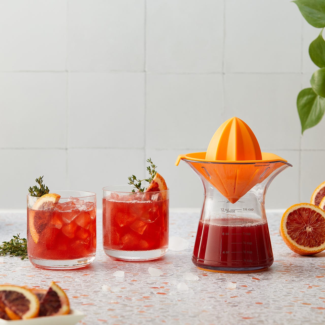 Chefn Juicester Citrus Juicer
