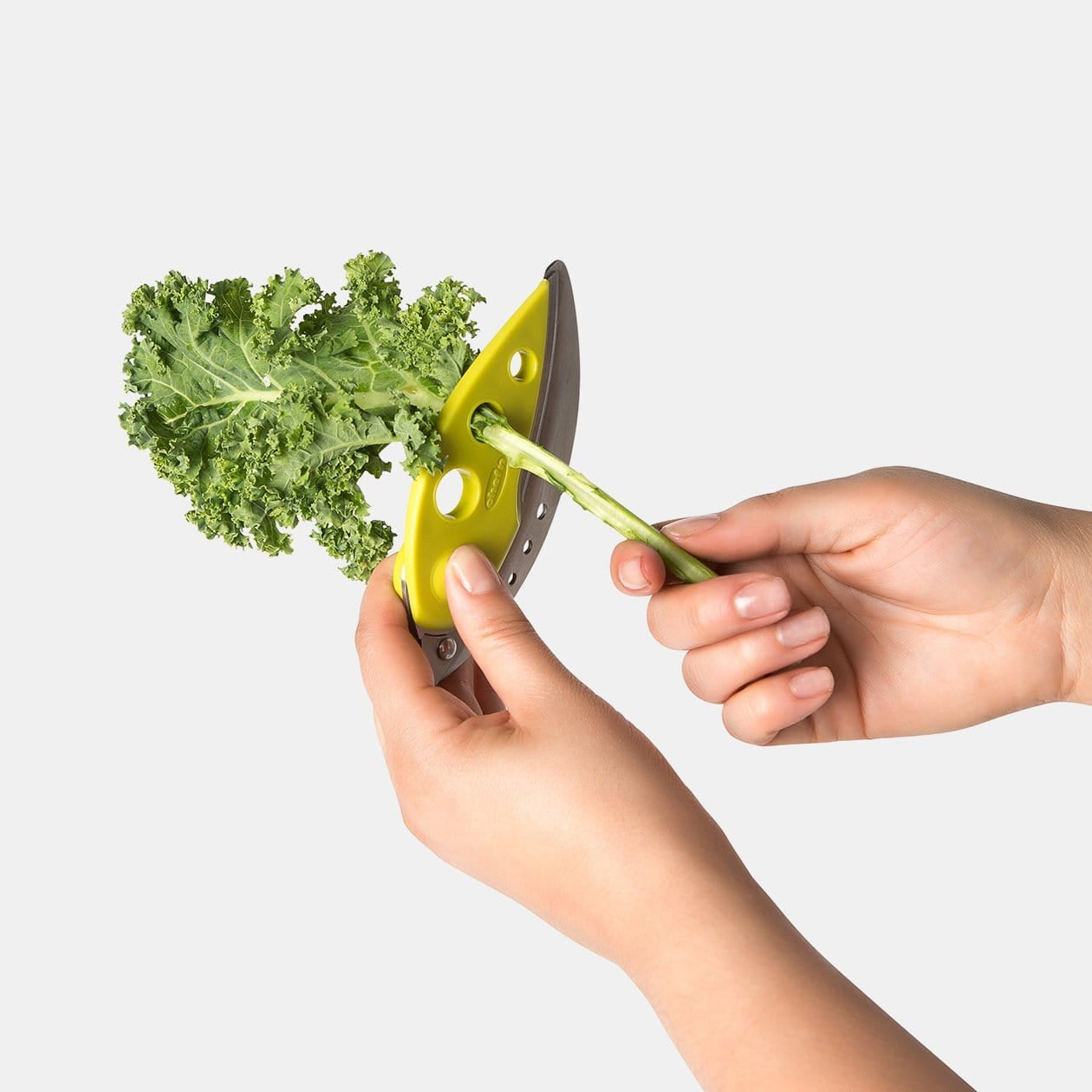 Chefn Fruit & Vegetable Prep Looseleaf Plus Kale and Greens Stripper