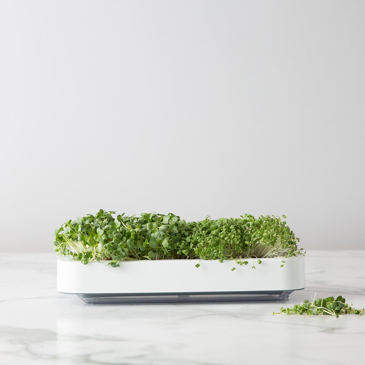 Chefn Accessories & Tools Microgreens Grower