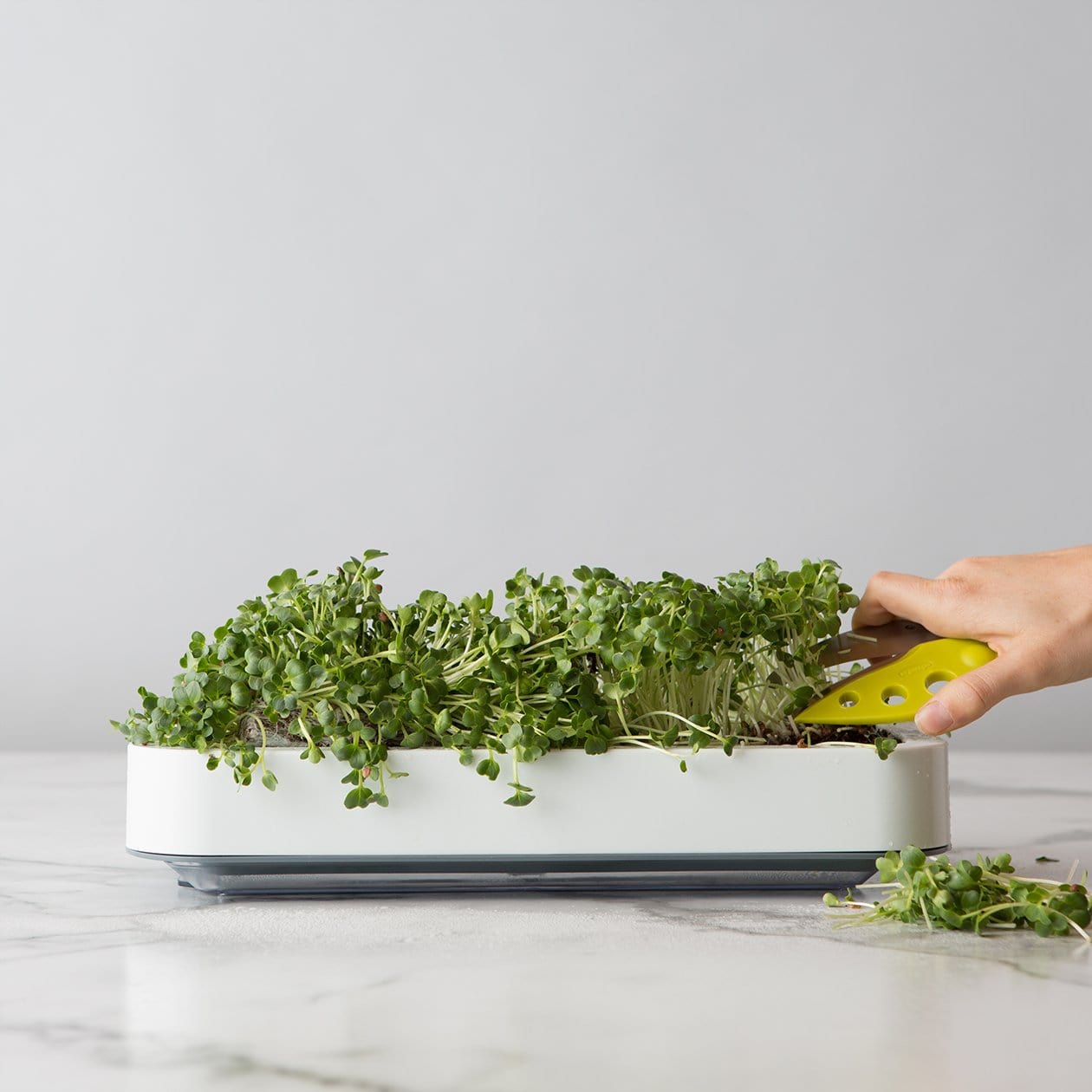 Chefn Accessories & Tools Microgreens Grower