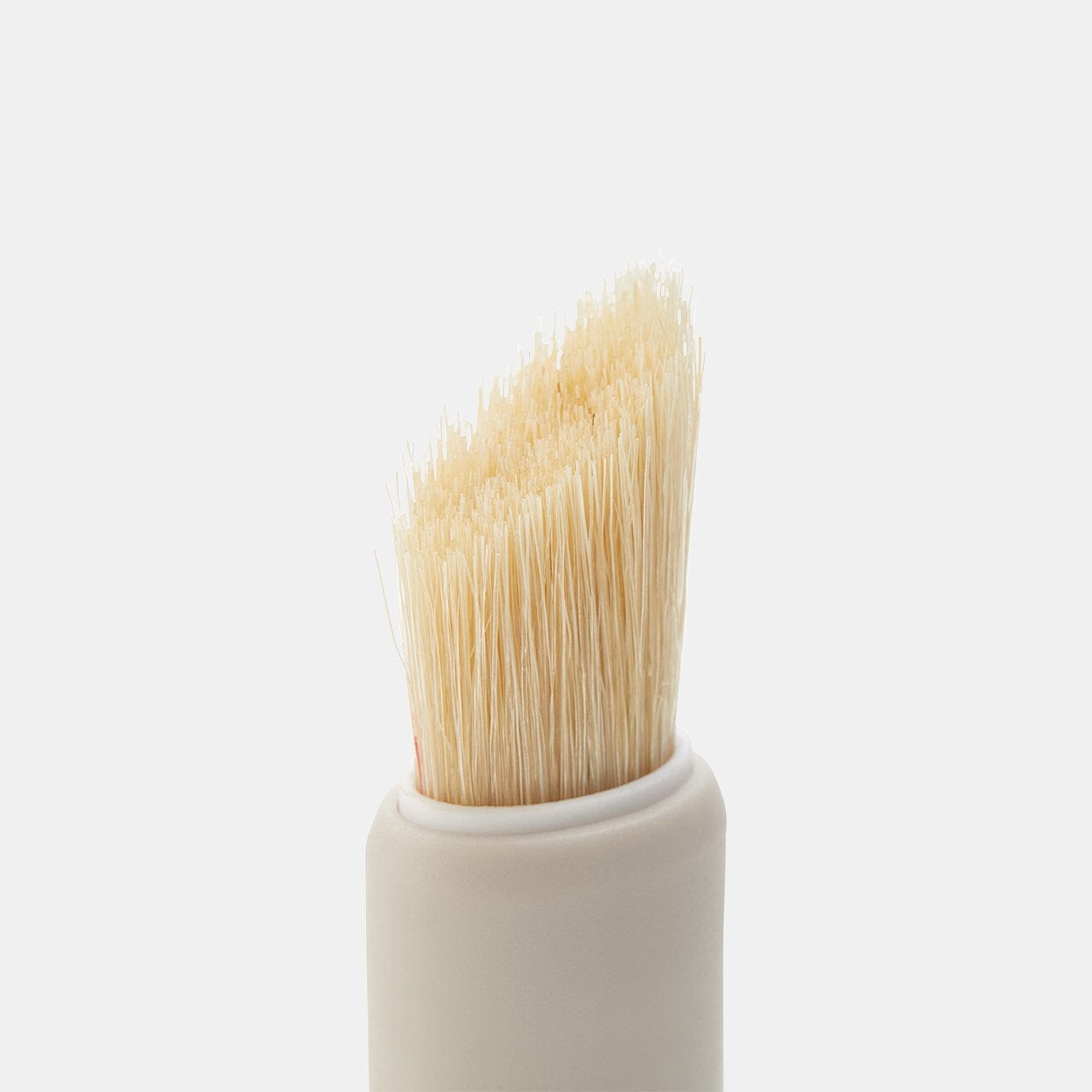 Chefn Shroom Broom