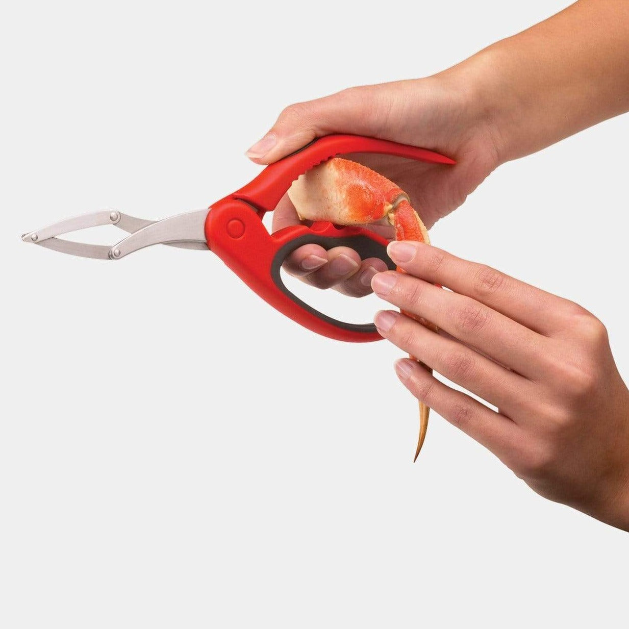 Chefn Accessories & Tools Wisecracker Crab Cracker