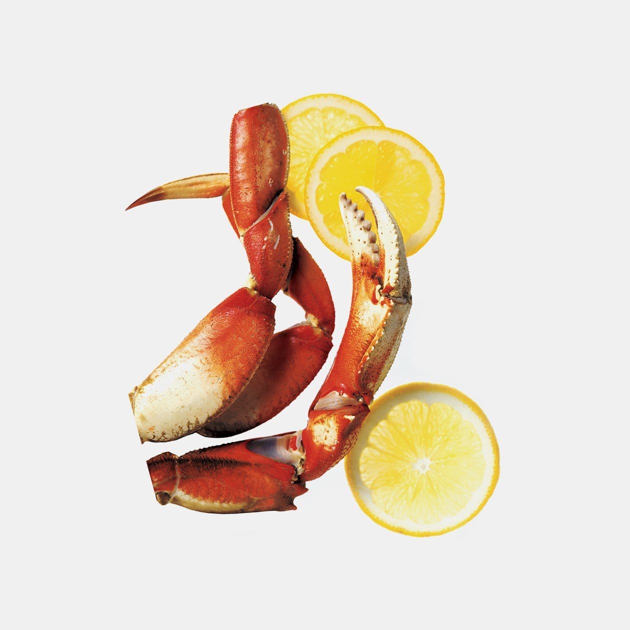 Chefn Accessories & Tools Wisecracker Crab Cracker